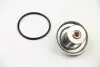 24779 Термостат OM 615-617/BMW 3(E30)/5(E12/E28) 68-/VW 2.3-3.2 V6/VR6 90- (79 C) (jiggle-pin) MOTORAD 247-79 MOTORAD підбір по vin на Brocar