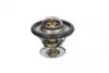 Термостат Transit/Fiesta/Focus/Mondeo 1.6-2.5 TD/TDCI/TDI/i 90- (91 C) CALORSTAT BY VERNET TH5750.92J