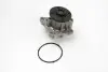 Водяна помпа Citroen C4/Mitsubishi Colt VI/Lancer/Smart Forfour 1.1-1.6i 04- Saleri SIL PA1403