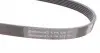 6PK875 Ремень генератора Opel Movano 2.5D 98-00/Peugeot Boxer/Citroen Jumper 2.0/2.2HDi 02- CONTITECH підбір по vin на Brocar