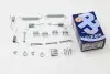 Комплект пружинок барабанних гальм зад ACCENT/RIO 05 - 178х32 AUTOFREN SEINSA D31010A