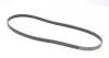 5PK1250 Ремень генератора Toyota Avensis/Corolla 2.0D 03-09/Hyundai i10 1.0 13- CONTITECH підбір по vin на Brocar