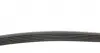 6PK1125 Ремень генератора Renault Megane/Laguna 2.0 97-03/Clio/Grand Scenic/Talisman 1.5dCi 15- CONTITECH підбір по vin на Brocar