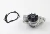 Водяна помпа Berlingo/Partner/Jumpy/Expert 1.9D/TD (XUD) 96- (20z) Saleri SIL PA649P