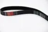 6PK1053 Ремінь генератора Fiat Doblo 1.9D GATES підбір по vin на Brocar