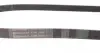 6PK1360 Ремень генератора Fiat Scudo 1.6D Multijet 07-/Ford Focus 1.8CDTi 04-12/Opel Corsa D/E 1.3CDTi 06- CONTITECH підбір по vin на Brocar