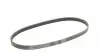 5PK875 Ремінь генератора Renault Kangoo 1.2i 97-/Subaru Impreza 2.0 05-07/Nissan Pathfinder 4.0 05- CONTITECH підбір по vin на Brocar