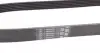 6PK906 Ремінь генератора VW Golf III/IV/Bora/Skoda Octavia 1.9TDI/SDI 98-10/Mitsubishi Mirage 1.0/1.2 12- CONTITECH підбір по vin на Brocar