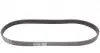 6PK906 Ремінь генератора VW Golf III/IV/Bora/Skoda Octavia 1.9TDI/SDI 98-10/Mitsubishi Mirage 1.0/1.2 12- CONTITECH підбір по vin на Brocar