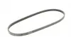 4PK905 Ремінь генератора Renault Kangoo/Clio 1.2i 97-/Fiat Scudo 1.6i 96-06/Nissan Kubistar 1.2 03- CONTITECH підбір по vin на Brocar