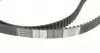 CT986 Ремень ГРМ Fiat Scudo/Citroen Jumpy/Berlingo/Peugeot Expert/Partner 1.9D 98-11 (140x25) CONTITECH підбір по vin на Brocar