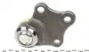 10CT0200 Опора кульова (передня/знизу) Citroen Berlingo/Peugeot Partner 96- (d=16mm) (+PS) ASMETAL підбір по vin на Brocar