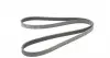 6PK1725 Ремень генератора Opel Vectra/Omega 1.8-2.2 86-03/Audi A6 2.5TDI 94-97/Chevrolet Lacetti 1.8 05- CONTITECH підбір по vin на Brocar