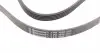 5PK1592 Ремень генератора VW Passat 1.9TDI 96-00/Audi A4/A6 1.9TDI 95-01/Kia Carnival 2.9TDi/CRDi 99-06 CONTITECH підбір по vin на Brocar