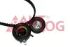 Комплект ГРМ LT 2.5 TDI 96-06 / T4 2.5 TDI 95-03 (рем. Conti CT914) AUTLOG ZK1101