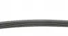 6PK976 Ремінь генератора Peugeot Partner/307/508 02-/Citroen Berlingo/C2/C3/C4/C5 1.6 HDi 04- CONTITECH підбір по vin на Brocar