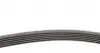6PK1715 Ремень генератора Opel Astra J/Corsa D 1.7CDTI 09-15/Ford Focus 1.8TDCi 98-04 CONTITECH підбір по vin на Brocar