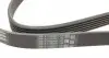 6PK1715 Ремень генератора Opel Astra J/Corsa D 1.7CDTI 09-15/Ford Focus 1.8TDCi 98-04 CONTITECH підбір по vin на Brocar