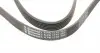 6PK1715 Ремень генератора Opel Astra J/Corsa D 1.7CDTI 09-15/Ford Focus 1.8TDCi 98-04 CONTITECH підбір по vin на Brocar