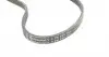 4PK855 Ремінь генератора Skoda SuperB 01-08/VW Passat B5/Hyundai Accent 95-05/Tucson/Kia Sportage/Ceed 04- CONTITECH підбір по vin на Brocar