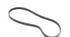 4PK855 Ремінь генератора Skoda SuperB 01-08/VW Passat B5/Hyundai Accent 95-05/Tucson/Kia Sportage/Ceed 04- CONTITECH підбір по vin на Brocar