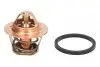 Термостат Ducato/J5 2.0i-2.5D/TD 75-94 (85 C) CALORSTAT BY VERNET TH0963.86J