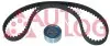 Комплект ГРМ R19/Clio/Megane 1.4/1.6 i 88-03 (рем. Conti CT709) AUTLOG ZK1005