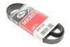 6PK1103 Ремінь генератора Nissan Primera/Fiat Marea 1.8-2.4JTD 96-02 GATES підбір по vin на Brocar