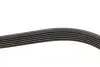 6PK1103 Ремінь генератора Nissan Primera/Fiat Marea 1.8-2.4JTD 96-02 GATES підбір по vin на Brocar