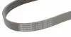 7PK1153 Ремень генератора Nissan Qashqai 1.6 07-13/Toyota Land Cruiser Prado 3.0D 02-09 CONTITECH підбір по vin на Brocar