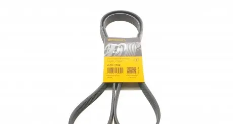 6PK1705 Ремінь генератора Citroen Jumper 1.9TD 94-02 (ALT,PS,AC) CONTITECH підбір по vin на Brocar