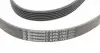 6PK1705 Ремень генератора Citroen Jumper 1.9TD 94-02 (ALT,PS,AC) CONTITECH підбір по vin на Brocar