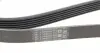 6PK1705 Ремень генератора Citroen Jumper 1.9TD 94-02 (ALT,PS,AC) CONTITECH підбір по vin на Brocar
