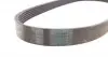6PK869 Ремень генератора Citroen Berlingo/Jumpy/Fiat Scudo 1.9D 98-11/Peugeot Partner 96-15 CONTITECH підбір по vin на Brocar