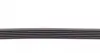 6PK869 Ремень генератора Citroen Berlingo/Jumpy/Fiat Scudo 1.9D 98-11/Peugeot Partner 96-15 CONTITECH підбір по vin на Brocar