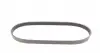 6PK869 Ремень генератора Citroen Berlingo/Jumpy/Fiat Scudo 1.9D 98-11/Peugeot Partner 96-15 CONTITECH підбір по vin на Brocar