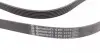6PK2315 Ремень генератора MB W202/210 M112/113 97- (WP,PS) CONTITECH підбір по vin на Brocar
