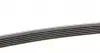 6PK2310 Ремінь генератора Mazda 6 2.3 02-07/CX-7 2.5MZR 09-13/Jaguar XF/XJ 3.0D 09-/Saab 900 II 2.5 93-98 CONTITECH підбір по vin на Brocar
