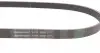 6PK1080 Ремінь генератора VW Crafter 2.0TDI 11-16/Golf 1.4/1.6 97-05/Audi A1/A2/A4 1.4-2.0 01-18 CONTITECH підбір по vin на Brocar