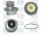 PA437P Водяной насос Combo/Astra F/G/Vectra A/B1.2/1.4/1.6 -05 Saleri SIL PA437P SALERI SIL підбір по vin на Brocar