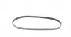 5PK975 Ремень генератора BMW 5 (E34)/7 (E38)/Citroen BX/Daewoo Lanos/Nexia 85-01(5PK975) CONTITECH підбір по vin на Brocar