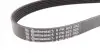6PK923 Ремень генератора VW T4/Caddy 1.9D/TD 90-03/Toyota Corolla/Auris 1.4D 06-14/Kia Rio 1.25 17- CONTITECH підбір по vin на Brocar