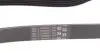 6PK923 Ремень генератора VW T4/Caddy 1.9D/TD 90-03/Toyota Corolla/Auris 1.4D 06-14/Kia Rio 1.25 17- CONTITECH підбір по vin на Brocar