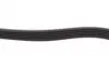 6PK923 Ремень генератора VW T4/Caddy 1.9D/TD 90-03/Toyota Corolla/Auris 1.4D 06-14/Kia Rio 1.25 17- CONTITECH підбір по vin на Brocar
