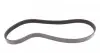 6PK923 Ремень генератора VW T4/Caddy 1.9D/TD 90-03/Toyota Corolla/Auris 1.4D 06-14/Kia Rio 1.25 17- CONTITECH підбір по vin на Brocar