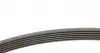 6PK1743 Ремень генератора Peugeot 206/306/4007/406/4007/Citroen C5 1.9TD/2.0/2.2HDI 96-/Ford Galaxy 2.2 08- CONTITECH підбір по vin на Brocar