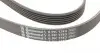 6PK1743 Ремень генератора Peugeot 206/306/4007/406/4007/Citroen C5 1.9TD/2.0/2.2HDI 96-/Ford Galaxy 2.2 08- CONTITECH підбір по vin на Brocar