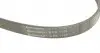 6PK1138 Ремень генератора VW Caddy/T5 1.9TDI/2.0SDI 04-10/Renault Laguna/Megane/Trafic 1.9dTi/dCi 96-01 CONTITECH підбір по vin на Brocar