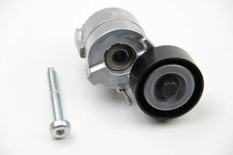 534061010 Натяжник ременя генератора Fiat Doblo 1.6D/2.0D Multijet 10- INA підбір по vin на Brocar