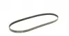 5PK1090 Ремінь генератора Fiat Ducato 2.5D/TD/TDI 94-02/Toyota Rav4 2.0 97-00/Audi A4/A5 12-15/Mitsubishi CONTITECH підбір по vin на Brocar
